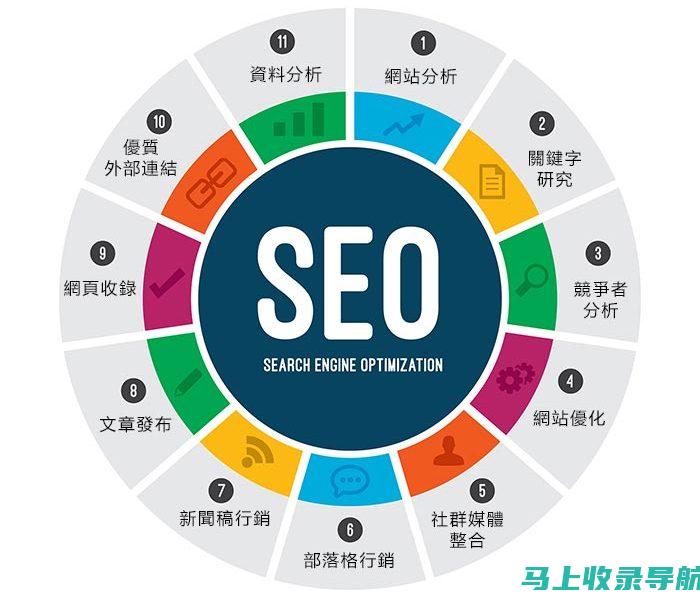 搜索引擎优化（SEO）入门教程：实战案例剖析